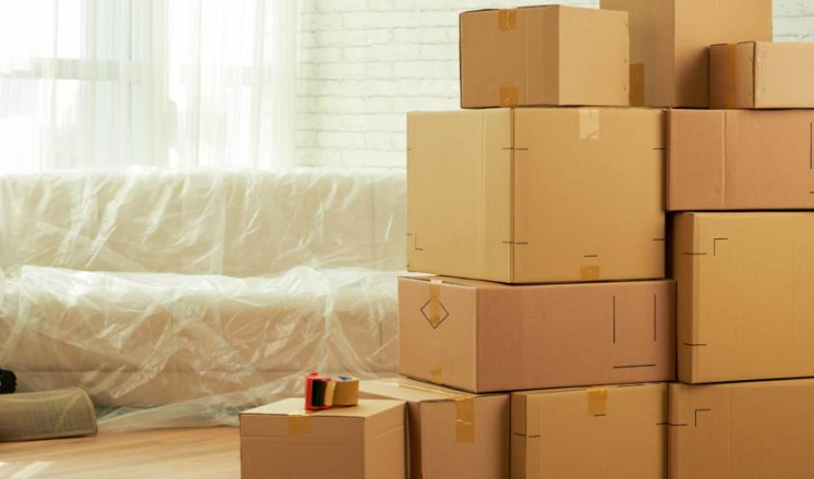 Streamlining Your Move: The Significance of Professional Packers and Movers in Abu Dhabi Image